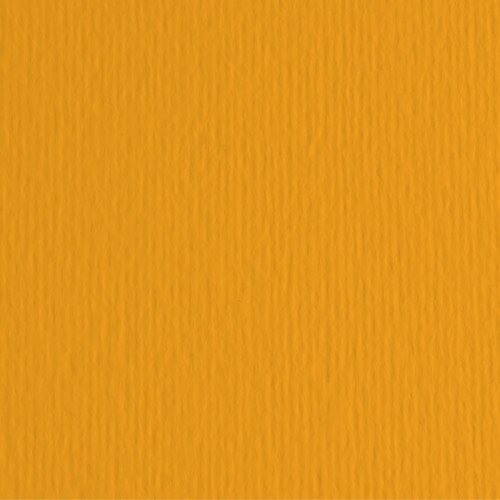  ElleErre, hamer papir, B1, 220g, odaberite nijansu Aragosta Cene