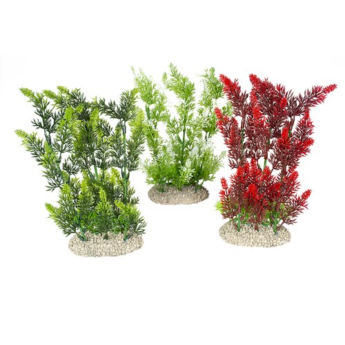 Duvo Elodea Densa Biljke za akvarijum, L, 25cm Cene