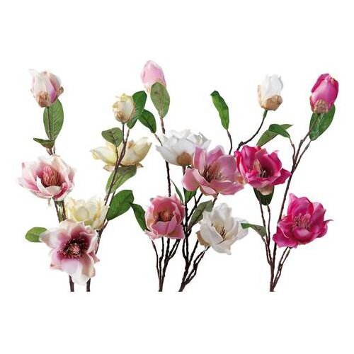  MAGNOLIJA 65CM 53525 Cijene