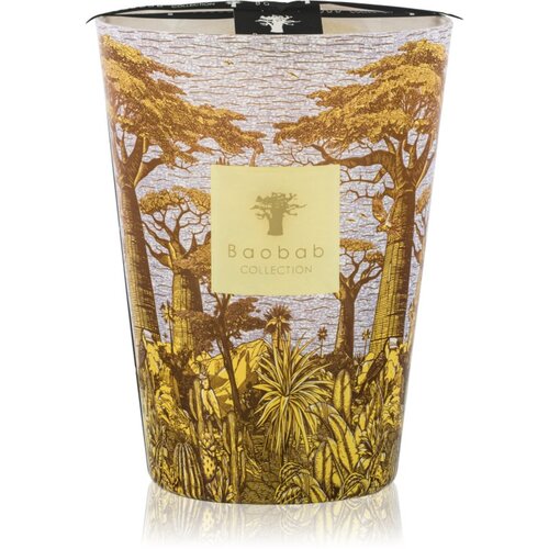 Baobab Collection Sacred Trees Cocody dišeča sveča 24 cm Cene