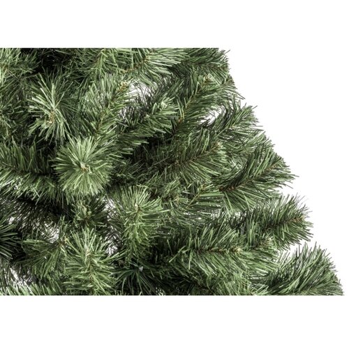  Božićna jelka LENA 220 cm (jela) Slike