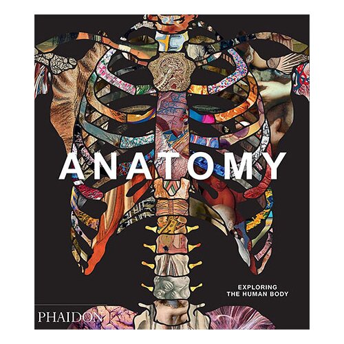 Phaidon Editors - Anatomy: Exploring The Human Body Slike