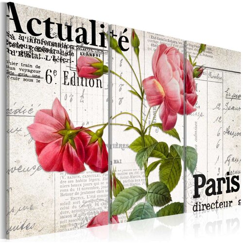  Slika - Paris directeur 90x60 Slike