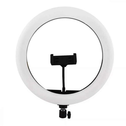 Ring FILL LIGHT 12INCH LC330 Cijene
