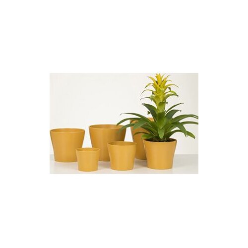  Saksija 808/17 curcuma Cijene
