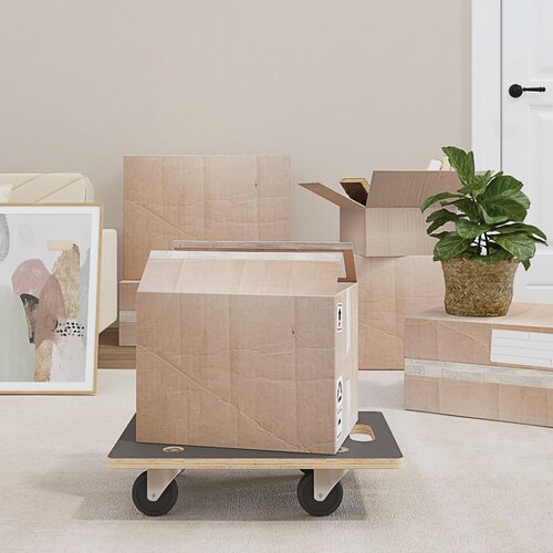 VidaXL Transportne platforme s kotačima 2 kom pravokutne 50x35x11 5 cm Slike