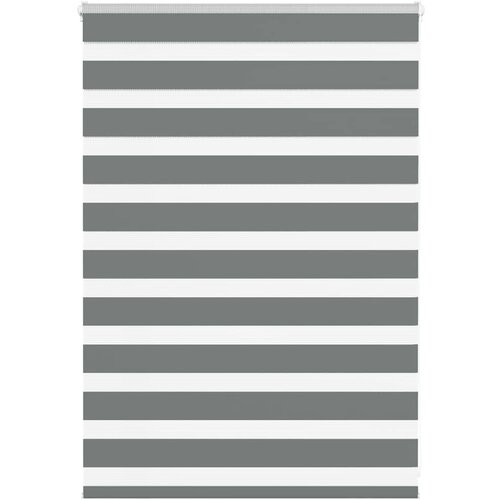 VidaXL Zebra senčilo temno sivo 105x100 cm tkanina &amp;scaron;irina 100,9 cm Slike