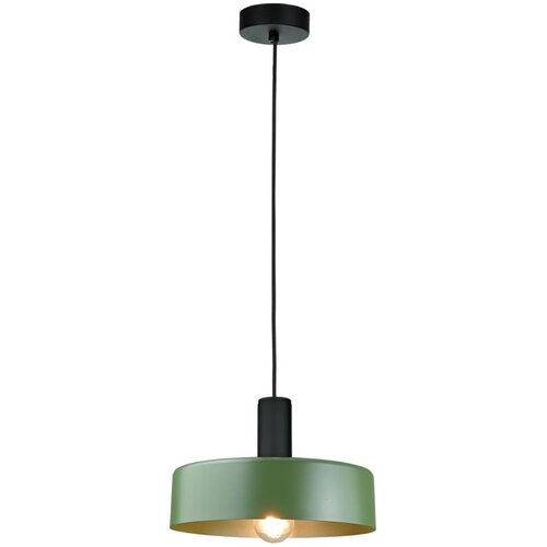  Luster na sajli HAKI 1xE27/60W/230V zelena/crna Cene