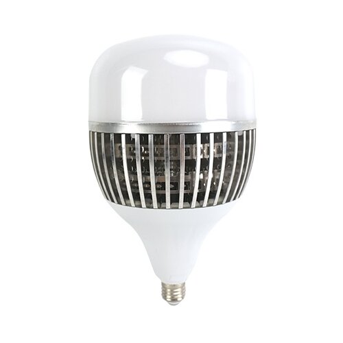  E2750CX/Z led sijalice E27/50W/6.400K/3850LM/25.000H/TORCH/116X215MM Cene