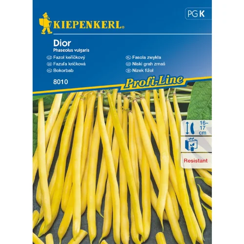 KIEPENKERL Sjeme povrća francuski grah Dior (Phaseolus vulgaris, Berba: Srpanj)