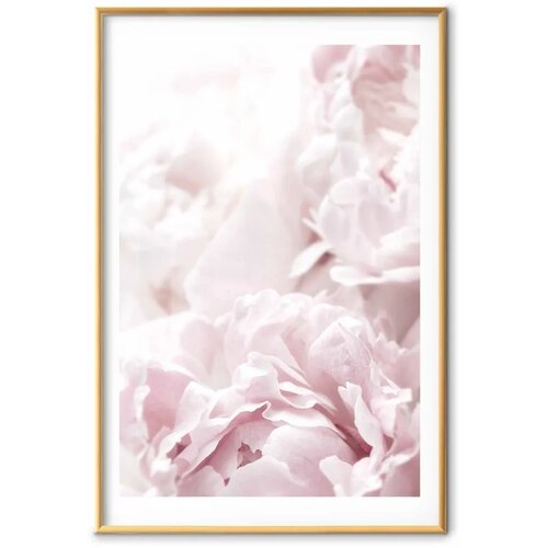  Plakat Fluffy Peonies 21x30 Zlatni okvir s margom Cijene