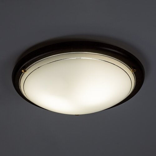 Brilagi plafonsko svetlo orbis 2xE27/60W/230V, prečnik 38 cm, od borovine Slike