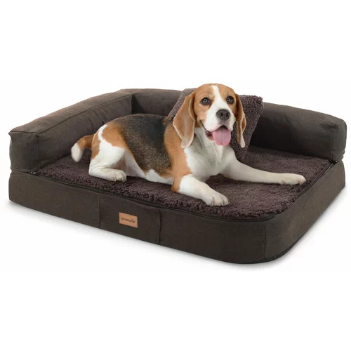 brunolie Bruno, krevet za psa, podloga za psa, periva, ortopedska, protuklizna, prozračna, memorijska pjena, veličina S (80 × 10 × 60 cm)