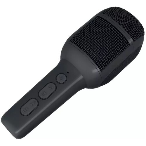 Celly Kids Festival 2 Microphone with Speaker (Black) Cene
