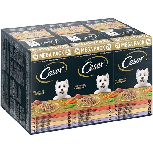  42 + 6 gratis! Mega pakiranje mokre pasje hrane Cesar pladnji 48 x 150 g - Deželni ragu Cijene