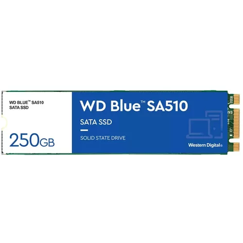Western Digital SSD 500GB WD Blue™ M.2 2280 SATA WDS500G3B0B