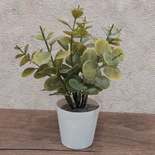 Dekordom cvet u saksiji - succulent 0038-38A - N38 Slike