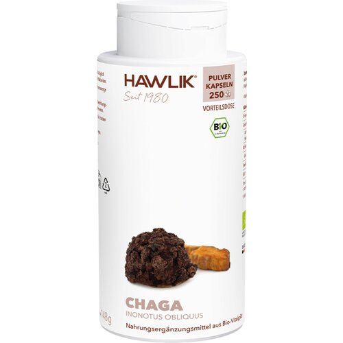  Kapsule iz bio Chaga gobo v prahu - 250 kaps. Slike