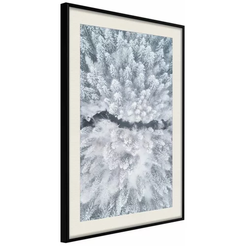  Poster - Winter Forest From a Bird's Eye View 30x45