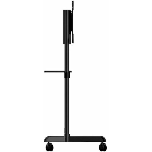 StarTech.com Mobilni TV stojalo MBLTVSTNDEC s kolesi za zaslone 37-70", (5000529804) Cene