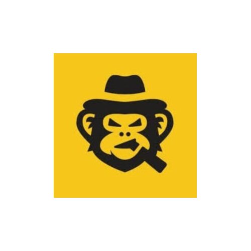 CS Gift Cards SkinsMonkey Wallet Card 250 USD Key GLOBAL Slike