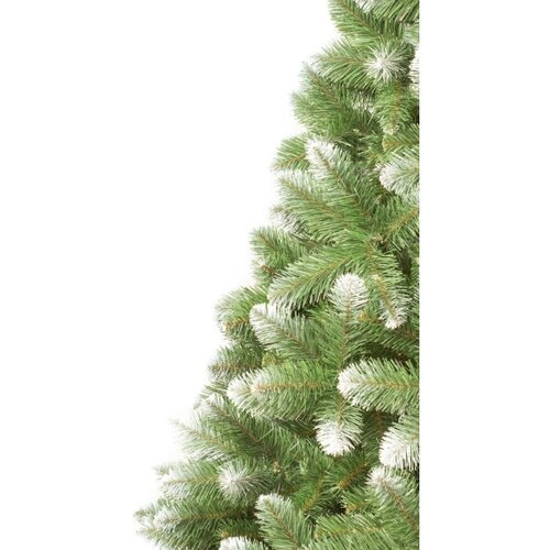  Božićno drvo 220 cm bor Slike