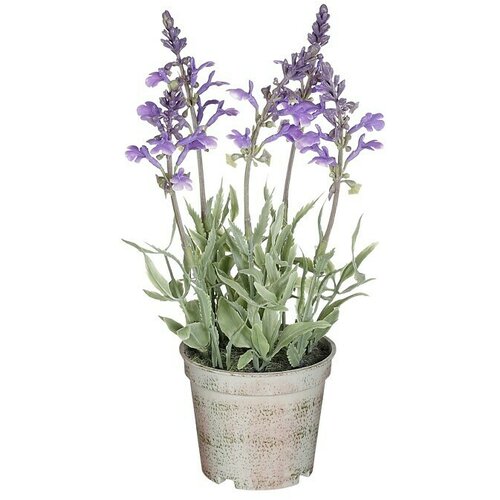  Umjetna biljka (Vanjska dimenzija (ø x V): 10 x 25 cm) Cijene