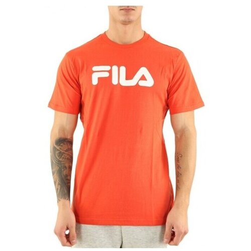 Fila Majice s kratkimi rokavi Pure Short Oranžna Slike