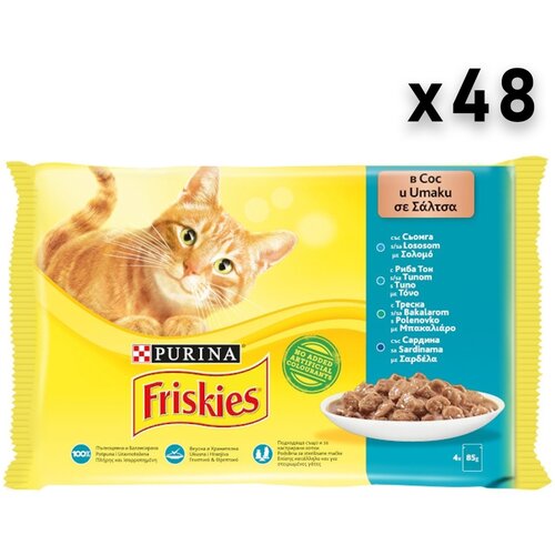 Friskies sos za mačke, losos, 48x85g Slike