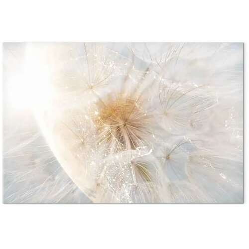 Slika - Dandelion in the Sun (1 Part) Wide 30x20 Cijene