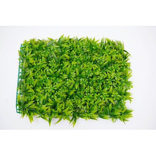 BOLZZ zeleni zid 3D flora 40X60 cm bolzzidflora Cene