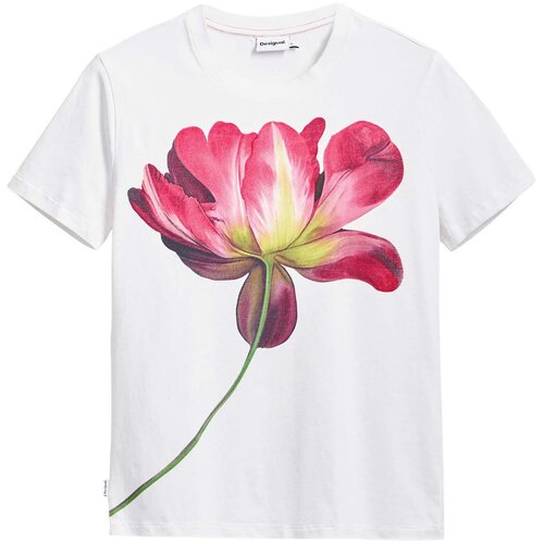 Desigual Majica mešane barve / bela Cene