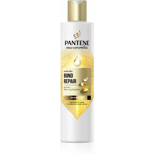 Pantene Pro-V Bond Repair krepilni šampon za poškodovane lase z biotinom 250 ml