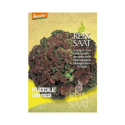 ReinSaat Solata "Lollo rossa" Cene