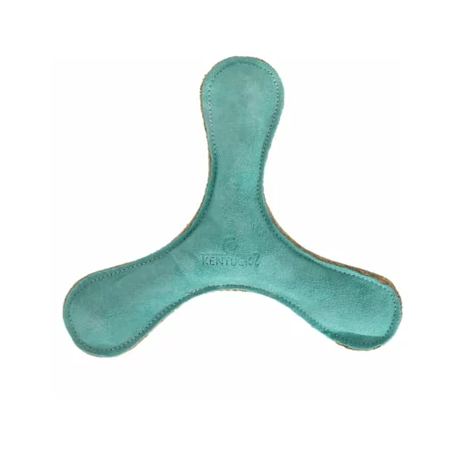  Pasja igrača "Boomerang" pastelna - smaragdna