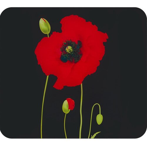 Maximex Zidna za&scaron;titna ploča za &scaron;tednjak od kaljenog stakla 50x56 cm Poppy &ndash; Cijene