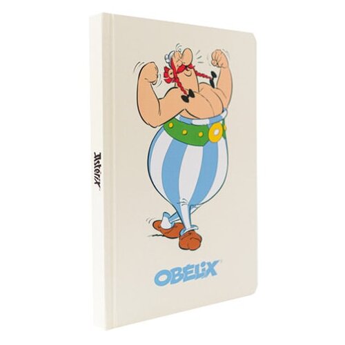 Grupo Erik Editores S. L. Asterix - Agenda A5 Asterix i Obelix Cene
