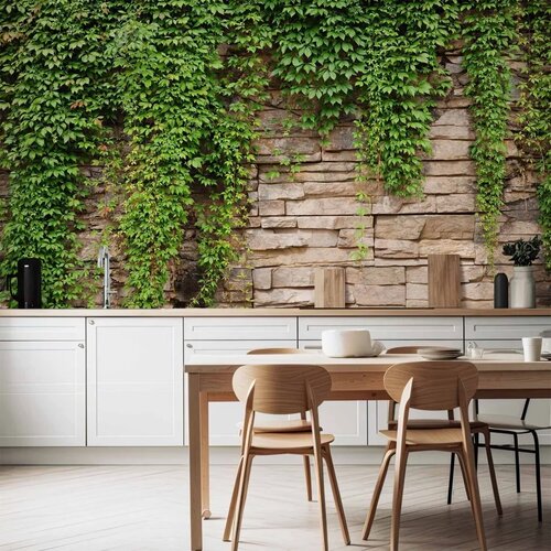  Foto tapeta - Ivy wall 100x70 Cene