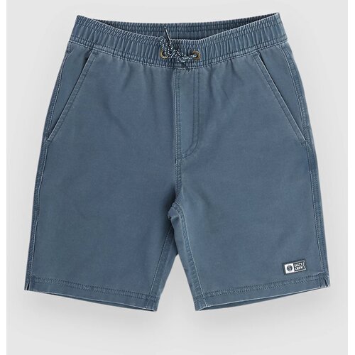 Salty Crew Seadog Volley Kids Boardshorts navy Cene