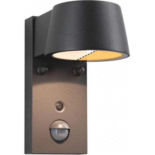 PAULMANN 94714 - LED/6W IP44 Spolja&scaron;nje zidno svetlo sa senzorom CAPERA 230V Cene
