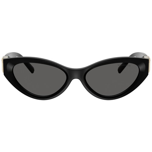 Tiffany Naočare za sunce TF 4225U 8001S4 Cene