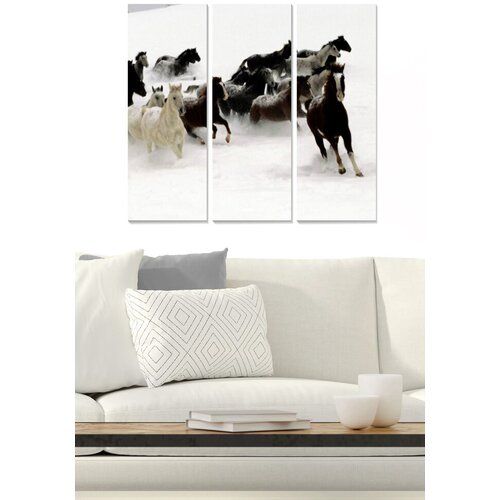 Wallity Set slika MDFFTR1018, 3 dijela Cene