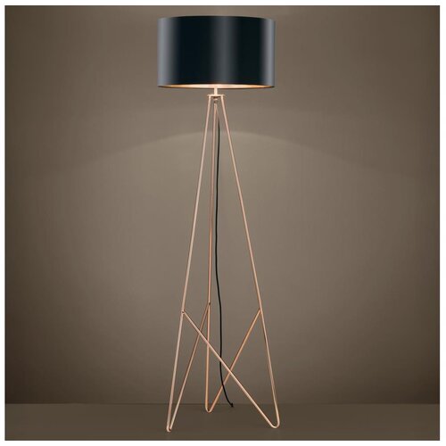 Eglo podna lampa camporale 39229 Slike