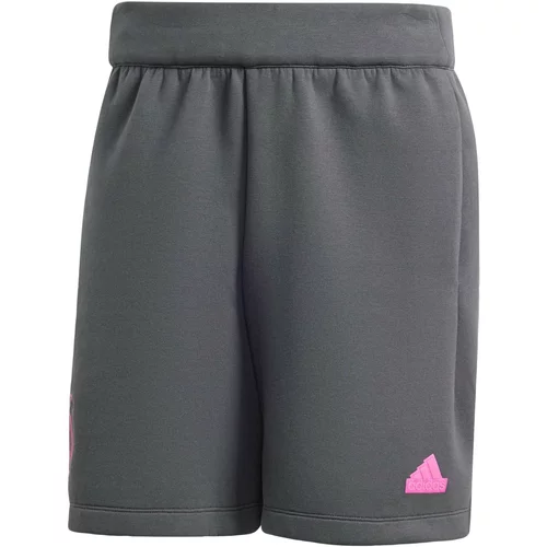 Adidas Športne hlače 'DFB' siva / roza / bela
