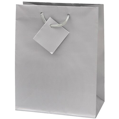  Vrečka darilna mala plast. mat. 11,1x13,7x6,2 srebrna Cene