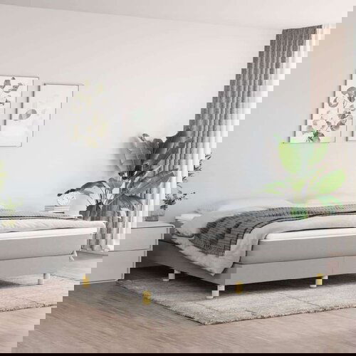  Box spring postelja z vzmetnico svetlo siva 160x200 cm žamet, (20725775) Slike