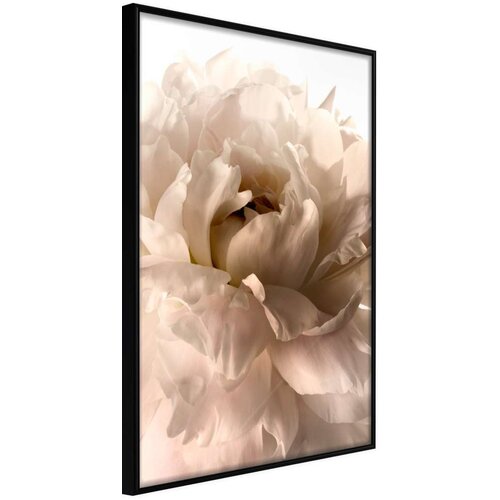  Poster - Bloom 20x30 Slike