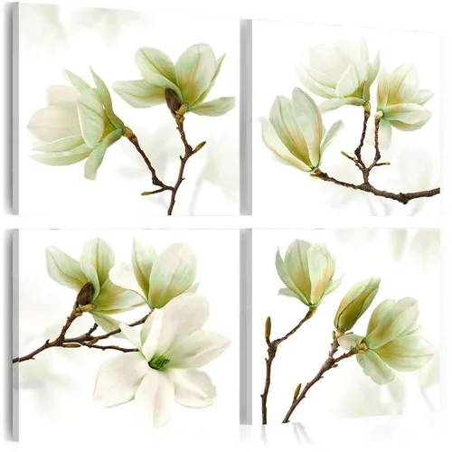  Slika - Admiration of Magnolia 90x90