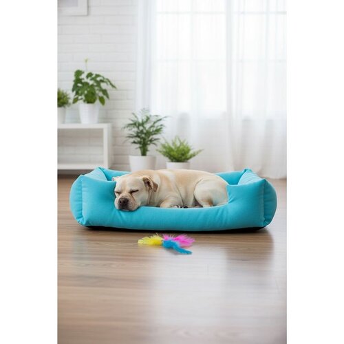 Paws &amp;amp;amp; Whiskers Krevet za kućne ljubimce Kare, 80 &amp;times; 60 &amp;times; 17 cm, Plavi Slike