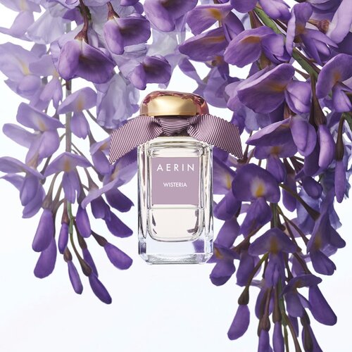 Est&amp;eacute;e Lauder Aerin Les Jardins Botaniques Wisteria darilni set za ženske Slike